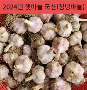 24년 국산 창녕 햇마늘 직접재배 산지직송 통마늘 저장 장아찌 마늘 대크기 3kg 5kg 10kg, 3kg(대), 1개