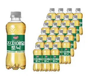 코카콜라 캐나다 진저에일 토닉 음료, 24개, 300ml